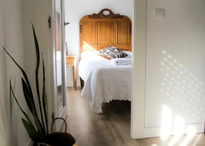 El Descanso De Fuco 아파트 *